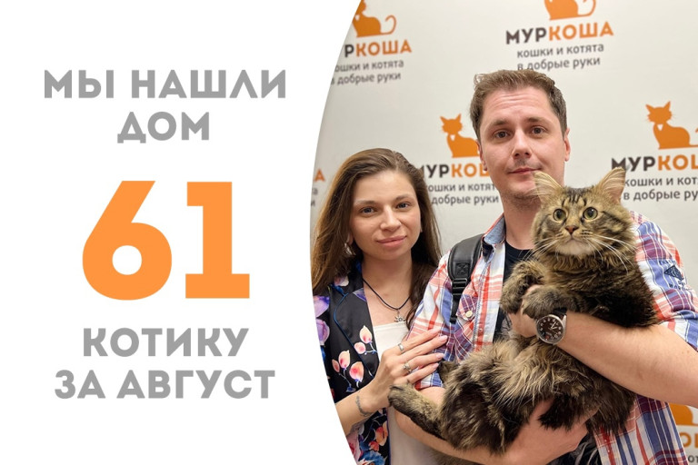 Котик Ратибор отправился домой! 