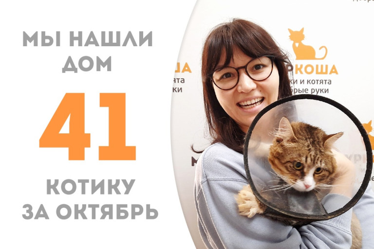 Полуторагодовалый котик Робинс обрёл домашнее счастье! 
