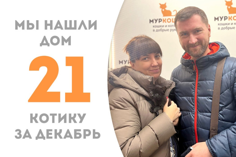 Двухмесячный котёночек Рублик, найденный на помойке в пакете, за короткое время обрёл любящую семью! 
