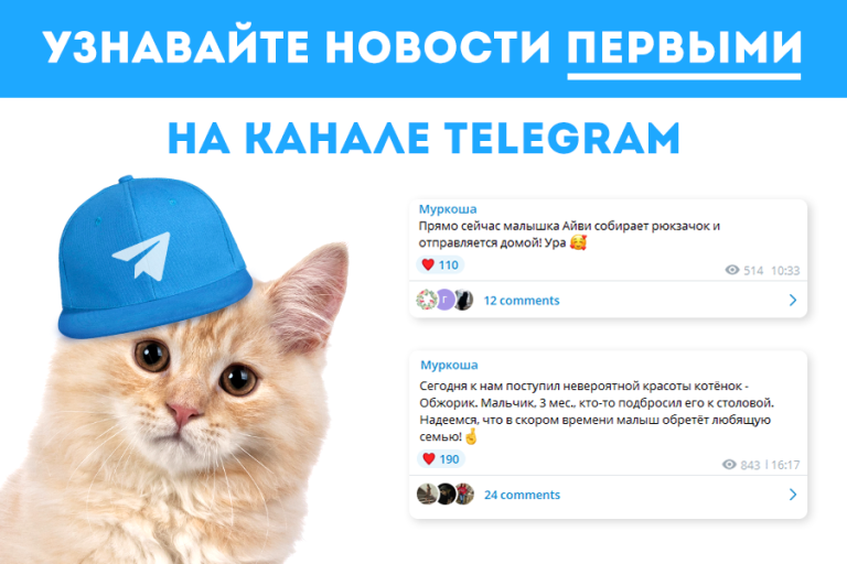 Узнавайте новости первыми