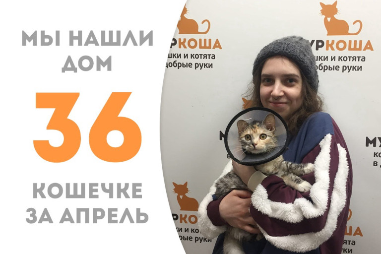 Малышке Янтарь удалось за месяц найти своего человека!