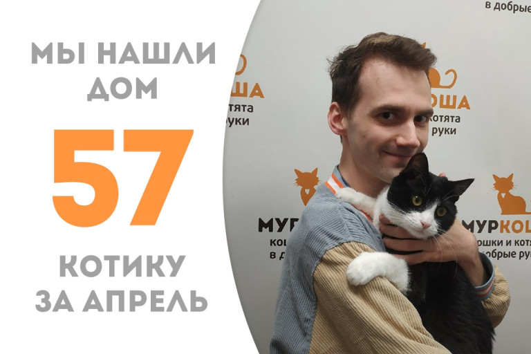 Котик Януш обрёл дом и любящего человека! 