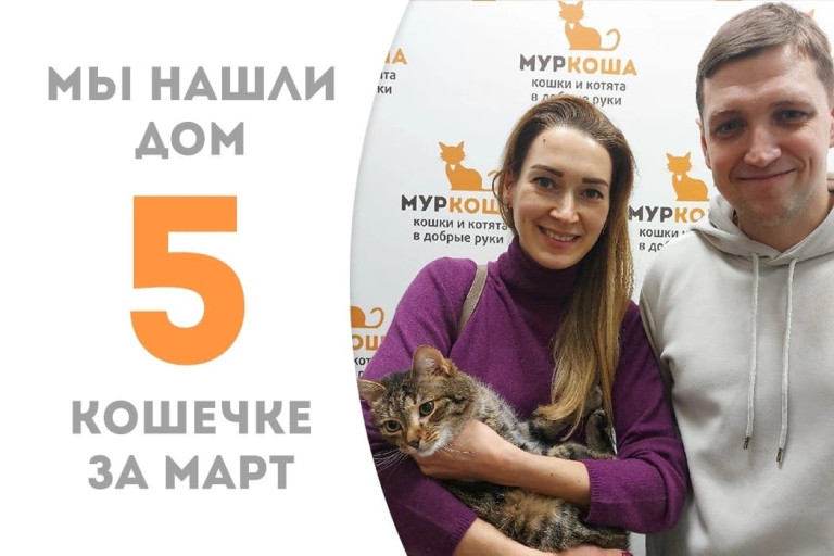 Кошка Юссика обрела новую семью!