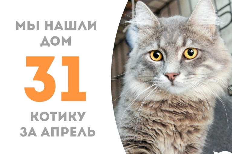 Всего один месяц понадобился милому  Аксюше, чтобы найти дом!