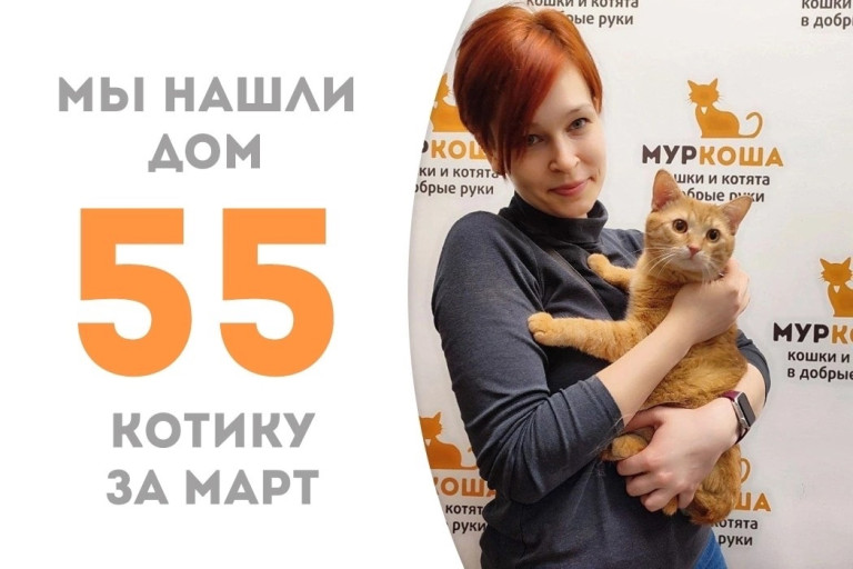 Рыжий Априкот отправился в новый дом!