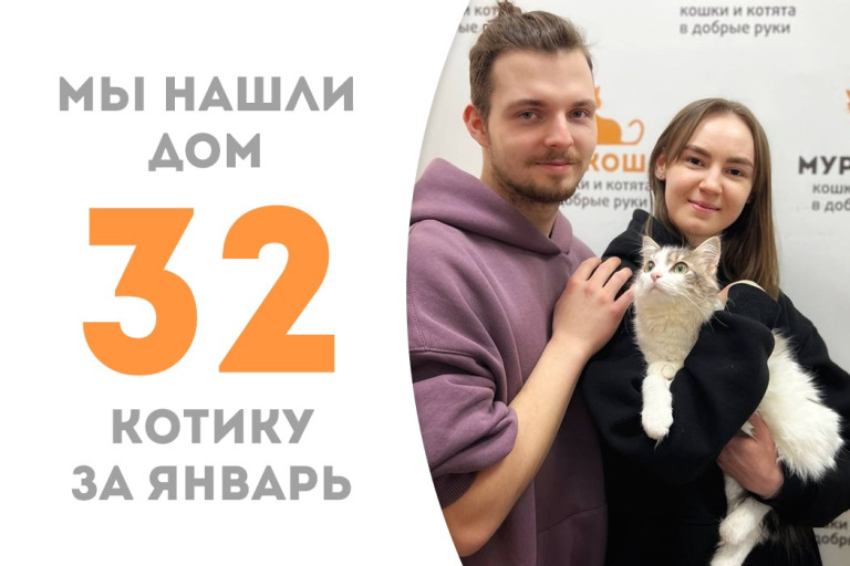 Котёнок Арбатик обрёл домашнее счастье, проведя два с половиной месяца в приюте!