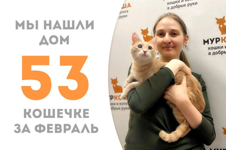 Кошечка Азура вытянула свой счастливый билет домой!