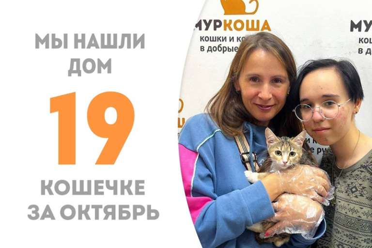 Бемоль, не пробыв и трёх месяцев в приюте, устремилась в домашнюю жизнь!