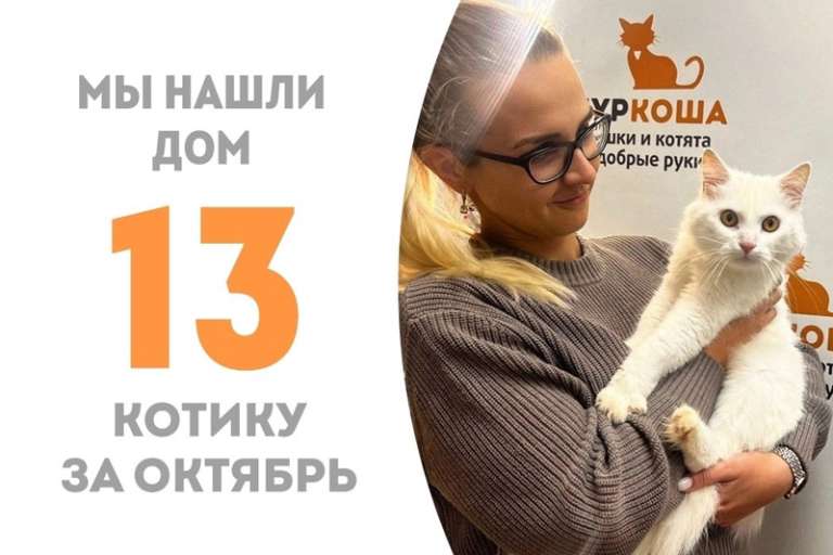 Всего за неделю Бианис обрёл дом!