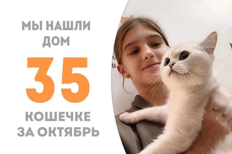 Менее месяца понадобилось Бриошке, чтобы стать домашней!