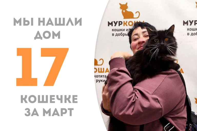 Трехлетняя кошечка Чешка нашла дом!