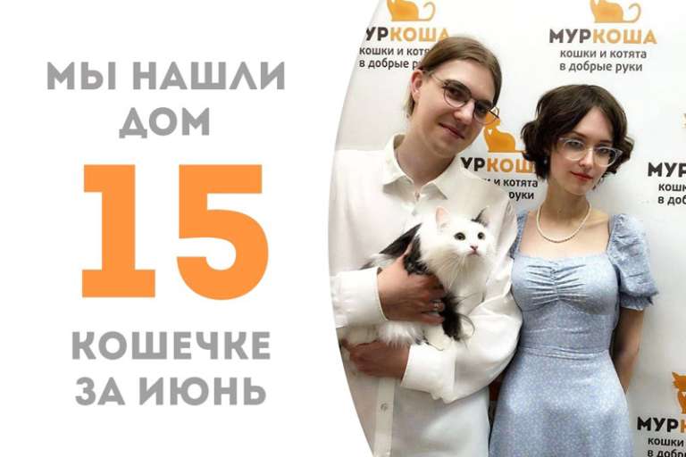 Кошечка Чипсинка нашла себе семью!
