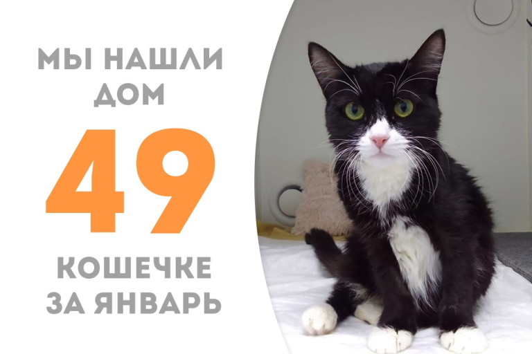Хрустальная кошечка по имени Дашонок обрела самую любящую хозяйку на свете!