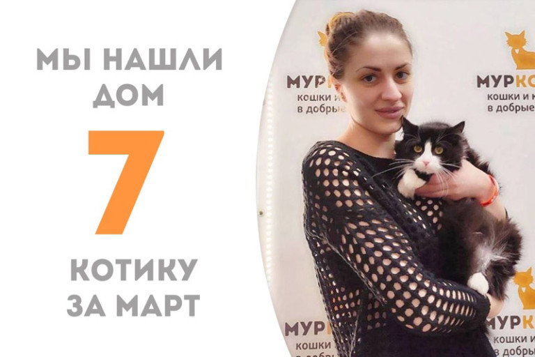 Молодой котик Доминго стал домашним всего за два месяца!