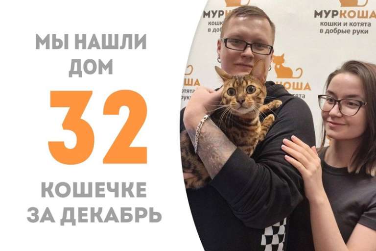 Великолепная Джесси уже едет отмечать Новый год дома!