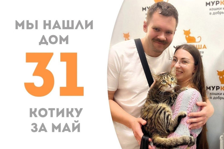 Кот Фелини обрёл новую семью!
