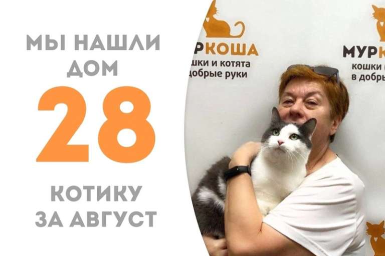 Филипп нашёл своего человека и мчит домой!