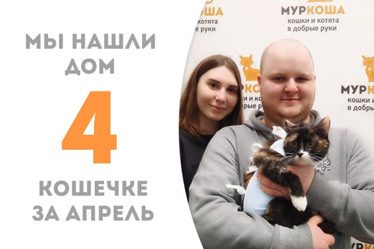 Чуть больше двух месяцев потратила Флорина на то, чтобы найти семью, да не простую, а с нашим выпускником Никлаусом!