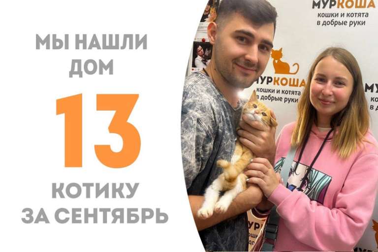 Гарфилд менее, чем за два месяца нашёл семью!