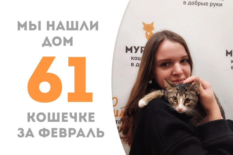 Кошечка Исиль встретила прекрасную хозяйку!