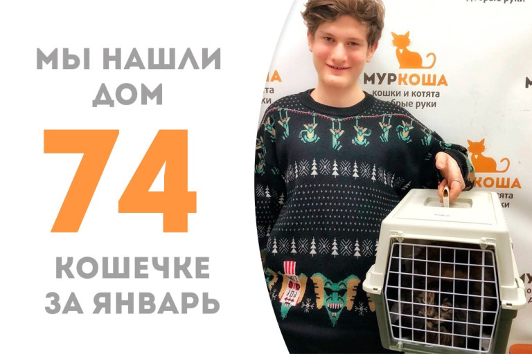 Годовалая кошечка Катана встретила своего человека и уехала домой!