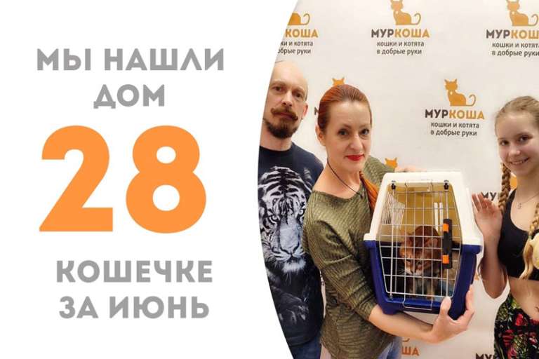 Колетт снова обрела дом и семью!