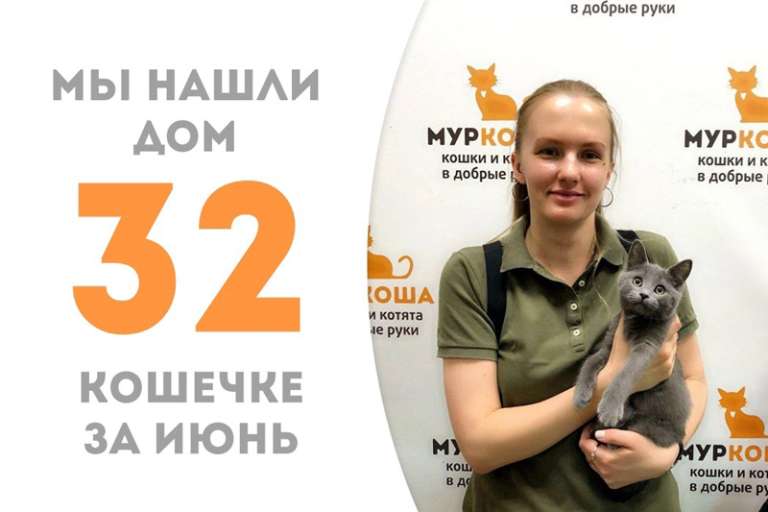 Кошечка Крим Пафф стала домашней спустя месяц!