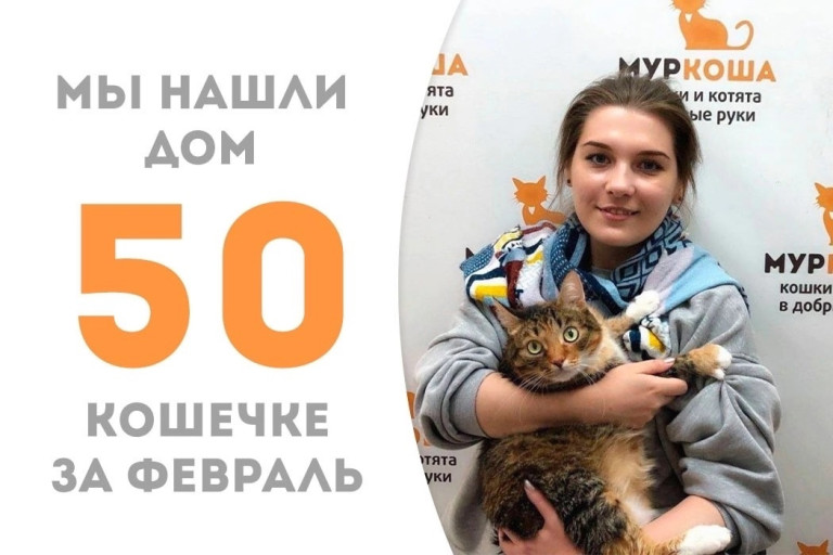 Уехала домой трёхцветная кошка Ксара!