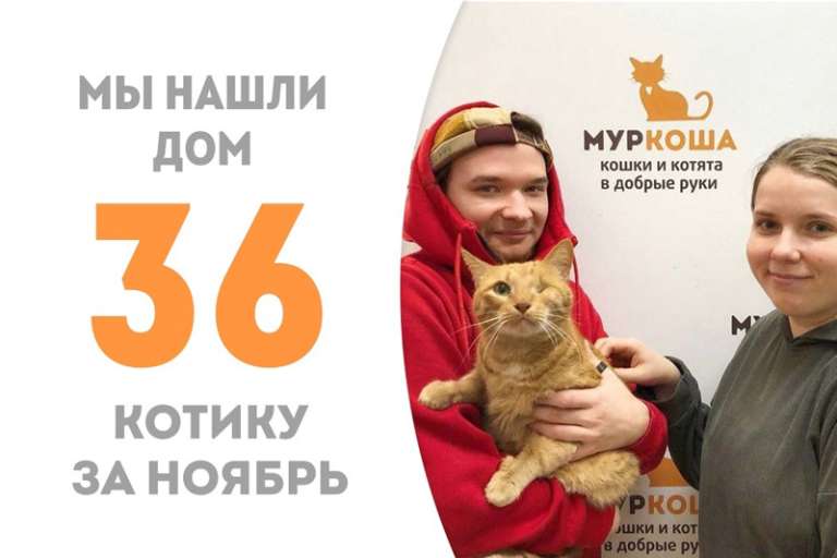 Квини нашёл себе семью!