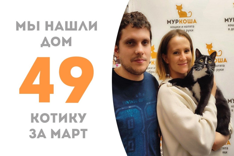 Четырехлетний котик Лапкинс встретил своих людей и стал домашним!