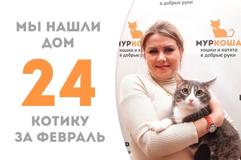 Кот Ластикс стал домашним спустя месяц!
