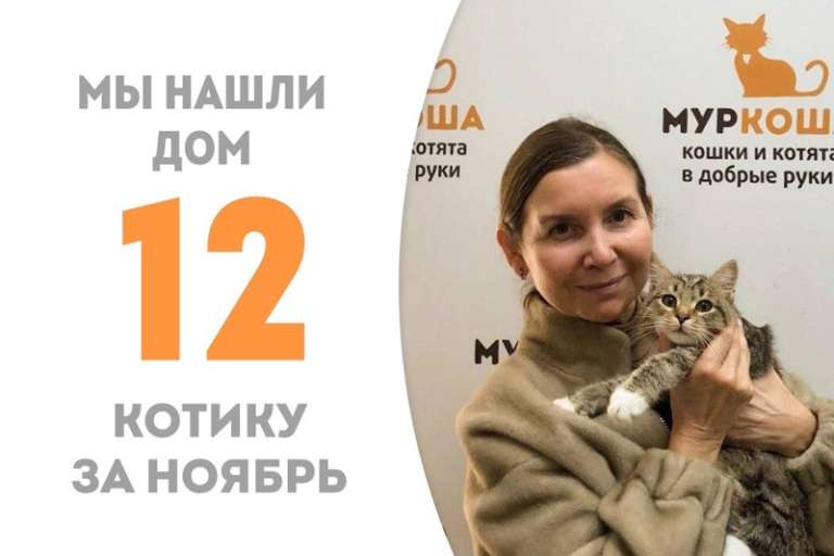 Лаймон отправляется в домашнюю жизнь!