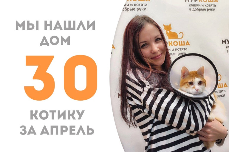 Молодой котик Лион встретил свою судьбу и стал домашним!