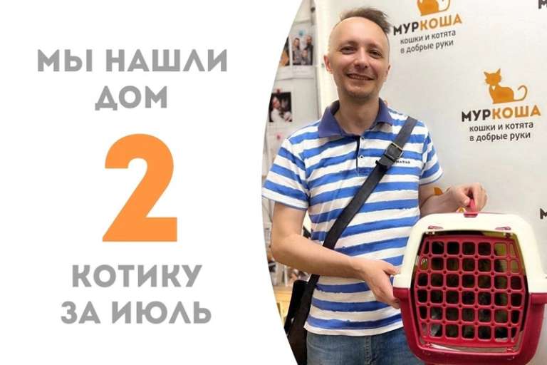 Кот Лондон встретил своего хозяина!