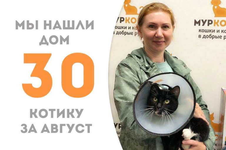 Мачо обрёл дом всего за 2 месяца!