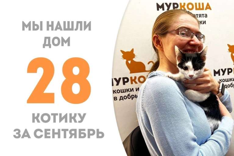 Всего за неделю Максимыч обрёл дом!