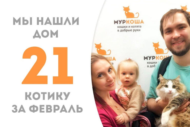 Котик Машук стал частью прекрасной семьи!