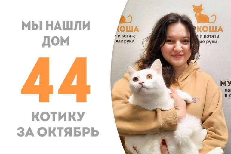 Очаровательный Медвежонок встретил свою хозяйку меньше, чем за три недели!