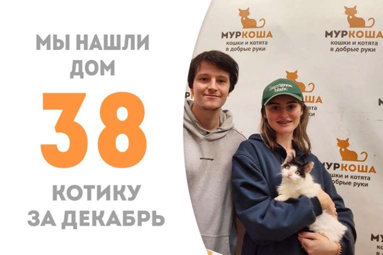 Три месяца понадобилось Мевиусу, чтобы стать домашним!
