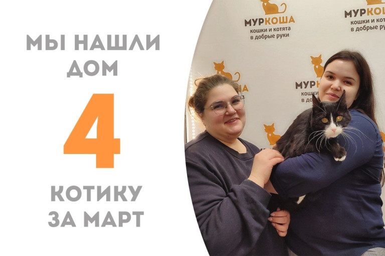 Пятилетний котик Мурикс стал домашним!