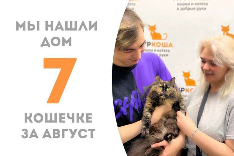 Мусса снова домашняя!