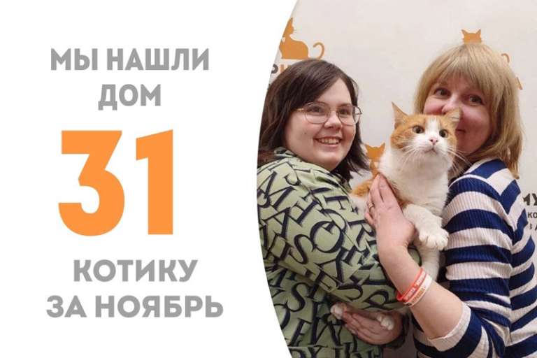Мявчик через 3 с небольшим месяца уезжает к нашему фотографу, волонтёру и куратору!