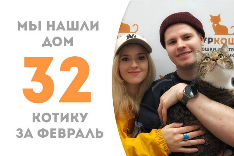 Котик Онфим начинает счастливую домашнюю историю!