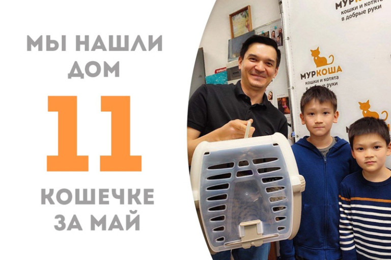 Ровно месяц понадобился девятимесячной Пачуле, чтобы обрести домашнее счастье!