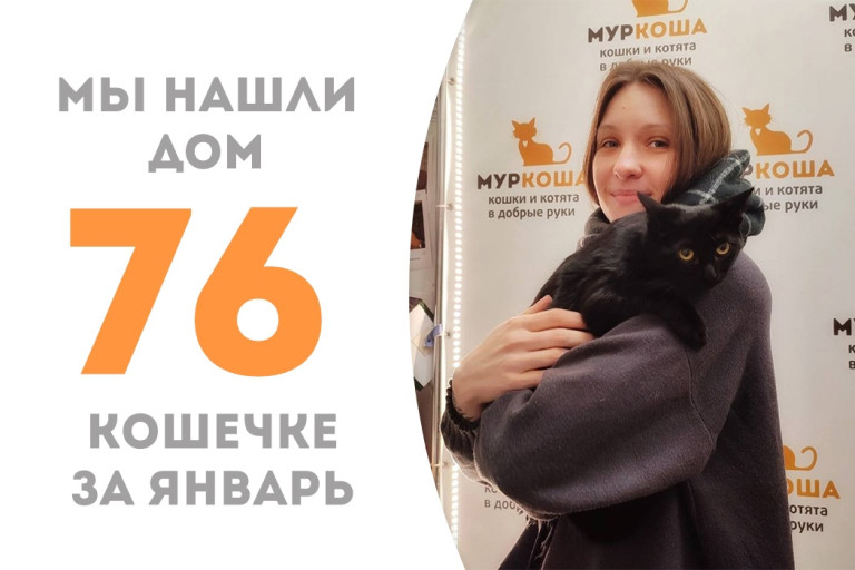Кошечка Паетка обрела дом и добрую хозяйку!
