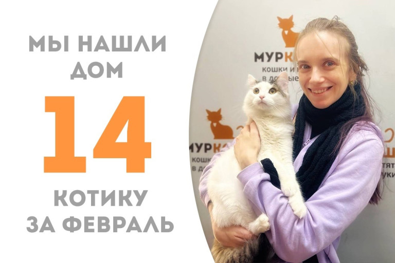 Котик Паскаль рад представить свою хозяйку!