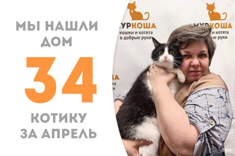 Черно-белый Пингвин снова домашний, он отправляется в семью одновременно с нашим выпускником котиком Штормом!