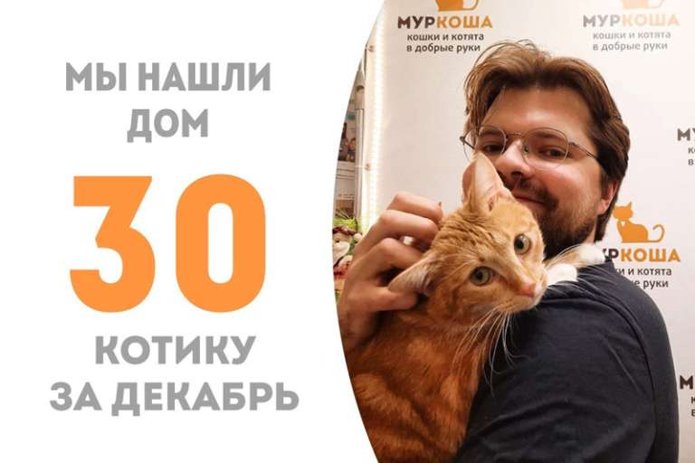 Всего три месяца, и Риз становится домашним!