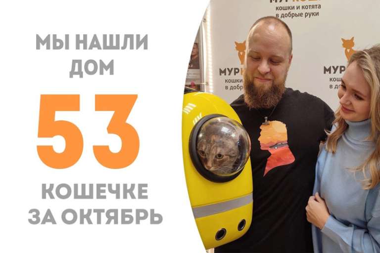 Санса обрела дом и семейное счастье в нем!