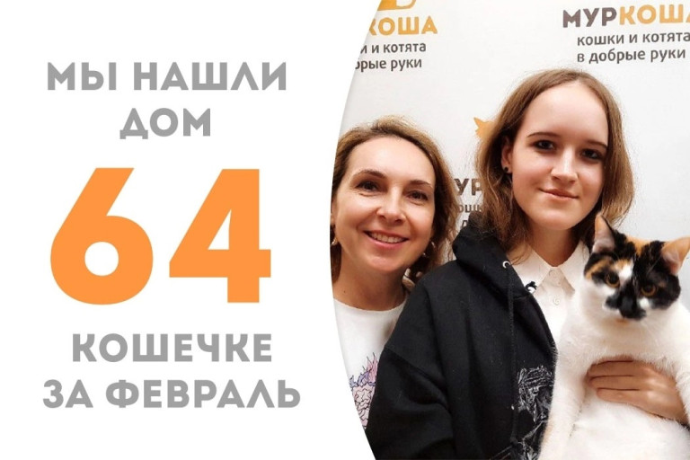 Замечательная трехцветная кошечка Сарочка одиннадцати месяцев уехала домой!